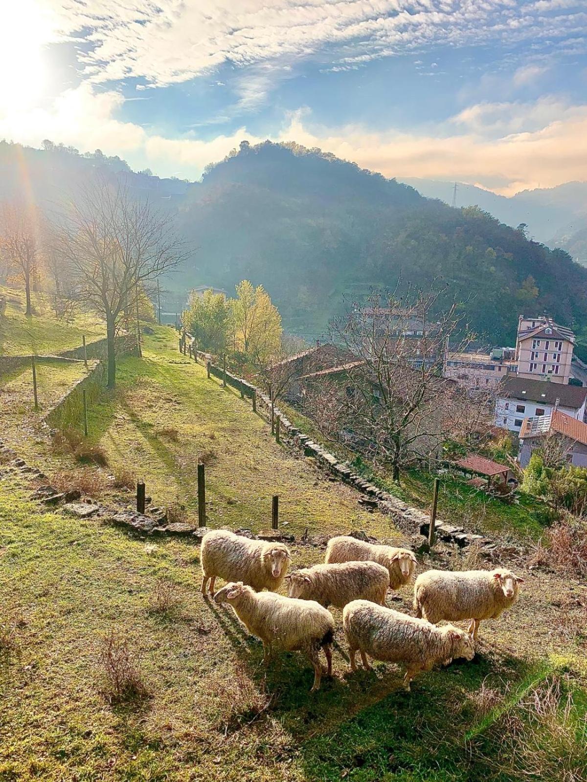 La Casa Sulla Collina Del Castello Breno Exterior foto